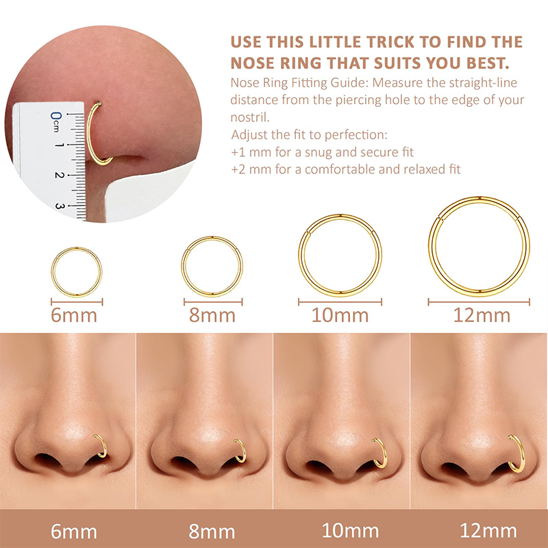 16G 316L Surgical Steel Hinged - Body Jewelry Nose Studs reseña y precio
